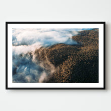 Load image into Gallery viewer, Berowra Bushland
