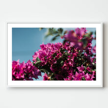 Load image into Gallery viewer, Floral Closeup
