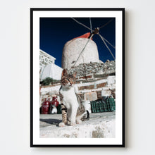 Load image into Gallery viewer, Karpathos Kitty
