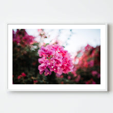 Load image into Gallery viewer, Ionian Florals
