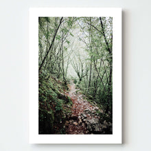 Load image into Gallery viewer, Vikos Gorge Pathway
